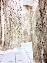 Load image into Gallery viewer, MARCOS BENITEZ - AO "Proyecto herbolario"