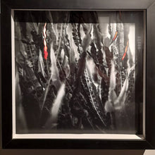 Load image into Gallery viewer, ZUCA MALKY - Poha Ñana • Templada - Jaguareté Ka'á