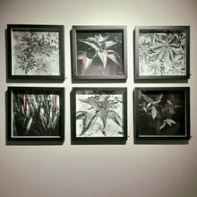 Load image into Gallery viewer, ZUCA MALKY - Poha Ñana- Fuerte Kangorosa