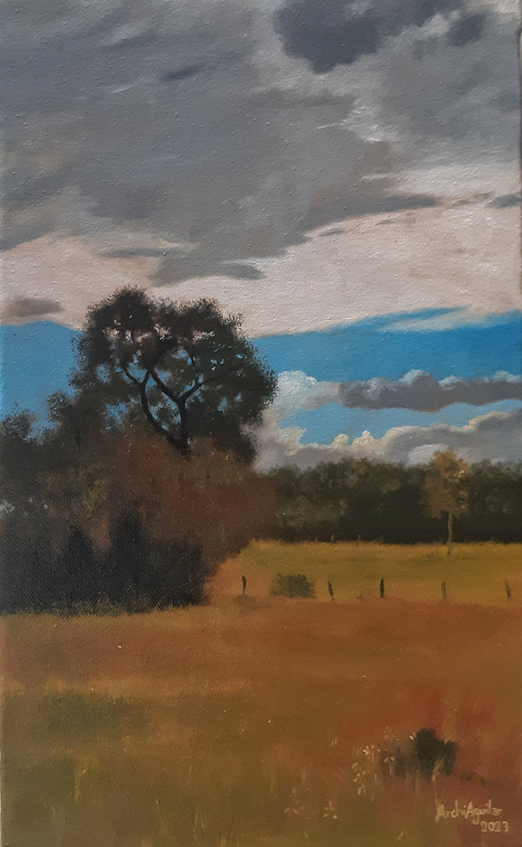 ARSENIO AGUILAR - Ka'aguy'i