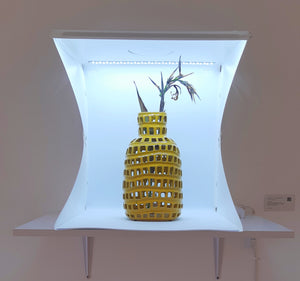 SILVANA DOMÍNGUEZ - Still life 2