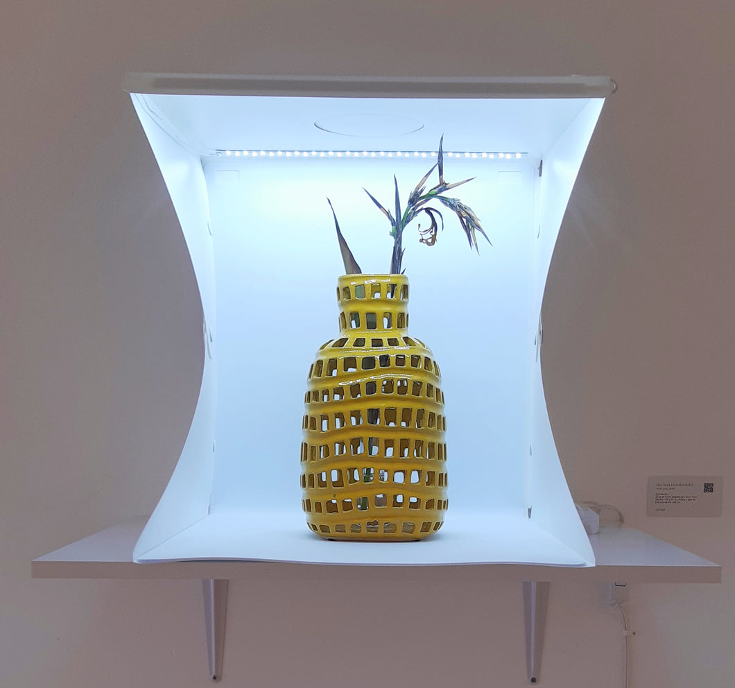 SILVANA DOMÍNGUEZ - Still life 2