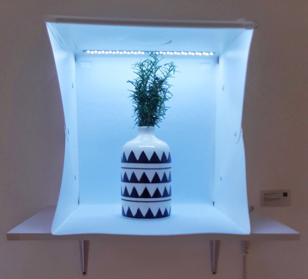 SILVANA DOMÍNGUEZ - Still life 4