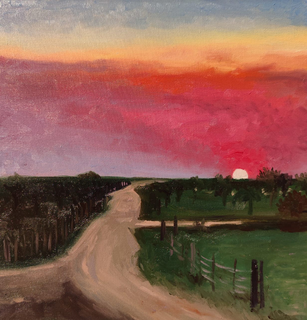 CAMILA CADOGAN - Atardecer del chaco