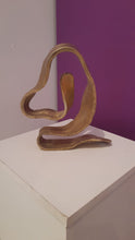 Load image into Gallery viewer, DAVID OCAMPOS - Invertebrados
