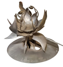 Load image into Gallery viewer, HERMANN GUGGIARI - La flor de mburukuya
