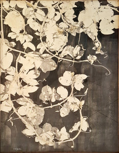 LUVIER CASALI - Mburucuja