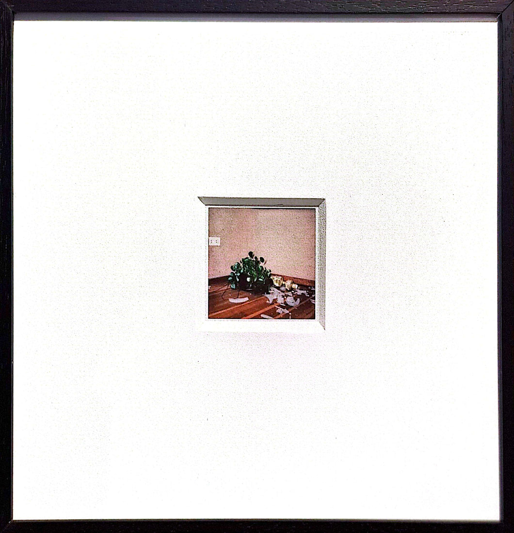 JESÚS RUIZ DÍAZ - LSD Polaroids #5