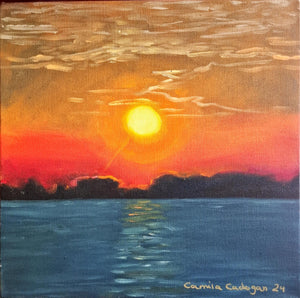 CAMILA CADOGAN - Estudio de color #49