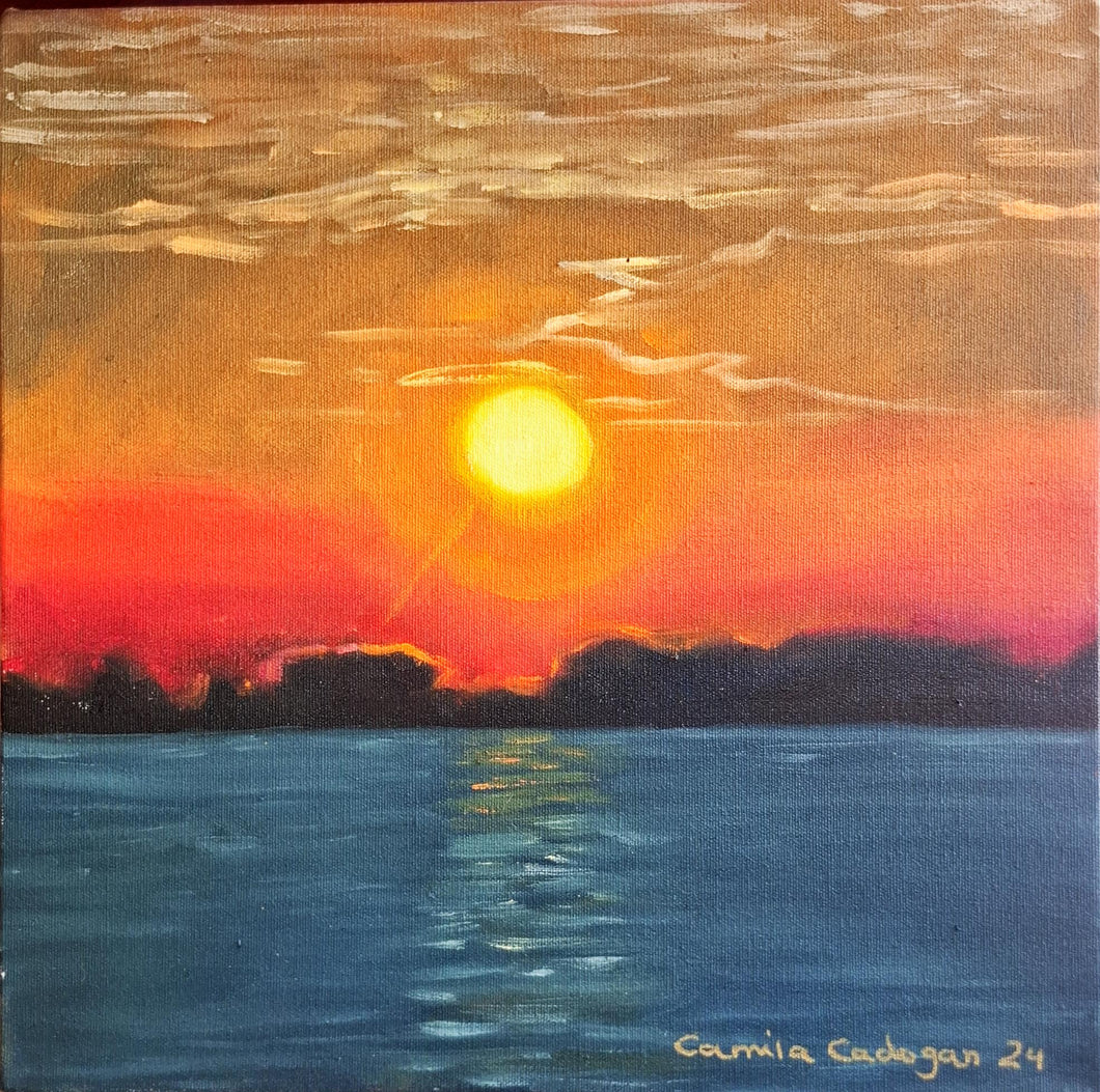 CAMILA CADOGAN - Estudio de color #49