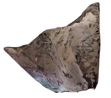 Load image into Gallery viewer, GUSTAVO BENITEZ - Meteorito 741
