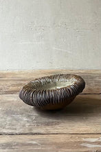 Load image into Gallery viewer, JAZMIN BRIZUELA - Diálogo entre Cordillera y Paraguarí X
