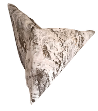 Load image into Gallery viewer, GUSTAVO BENITEZ - Meteorito 741
