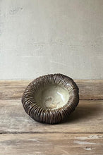 Load image into Gallery viewer, JAZMIN BRIZUELA - Diálogo entre Cordillera y Paraguarí X
