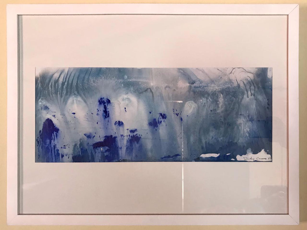 RUDY CÁCERES - Serie Efecto Desmonte 1
