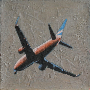 RICARDO ALVAREZ  - Avión en el Jardín de Anna