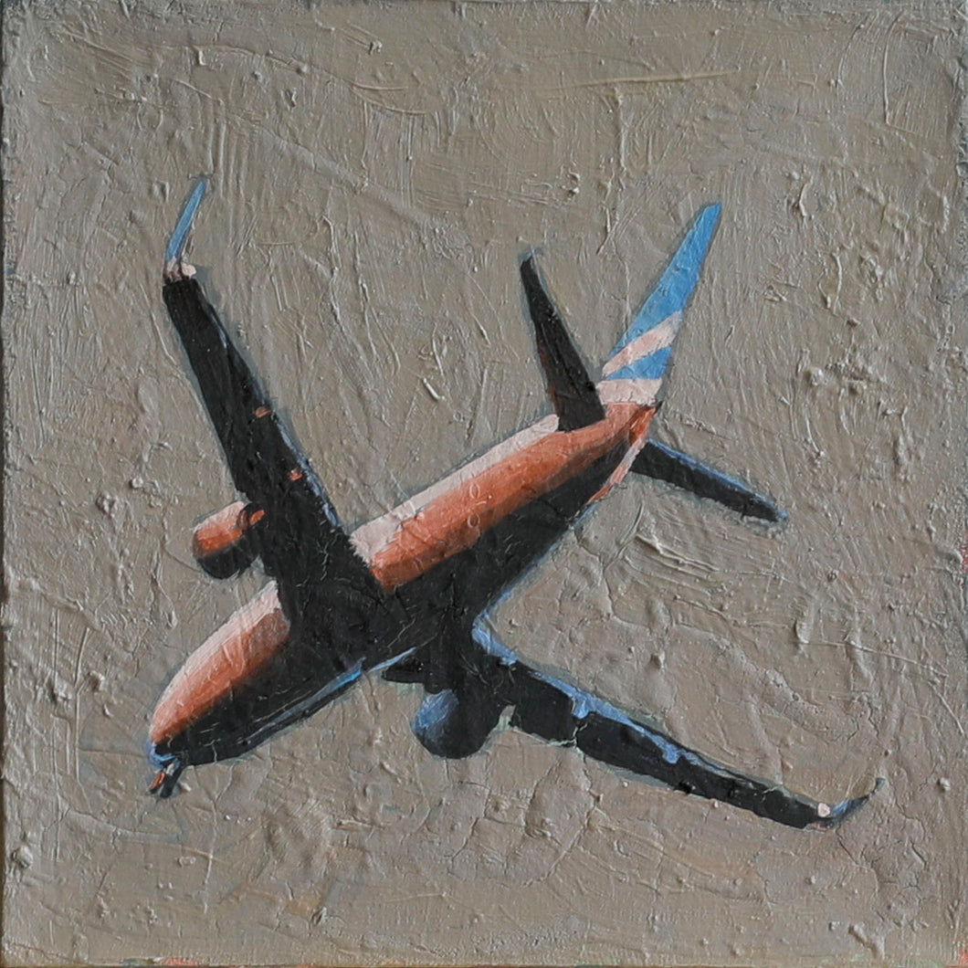 RICARDO ALVAREZ  - Avión en el Jardín de Anna