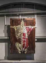 Load image into Gallery viewer, ANNA SCAVONE - &quot;Musculatura en Medio Torso &quot; Díptico
