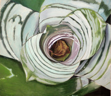 Load image into Gallery viewer, SILVANA NUOVO - Bromelia
