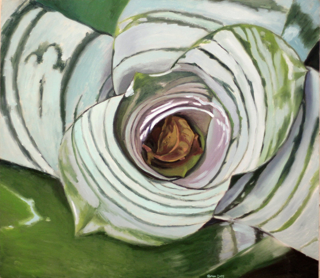 SILVANA NUOVO - Bromelia