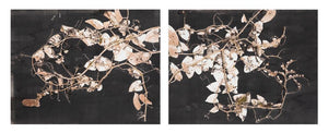 LUVIER CASALI - Serie Osmosis