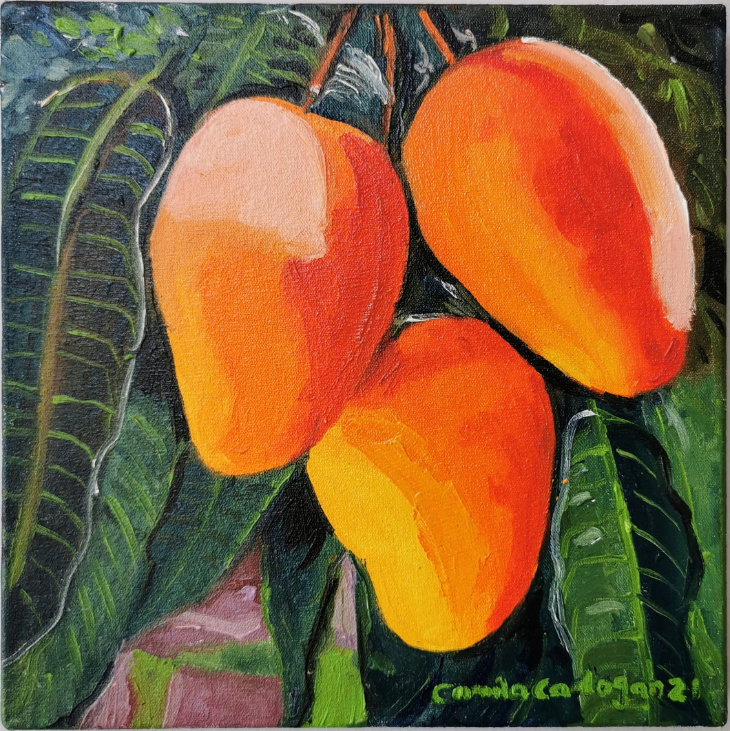 CAMILA CADOGAN - MANGOS