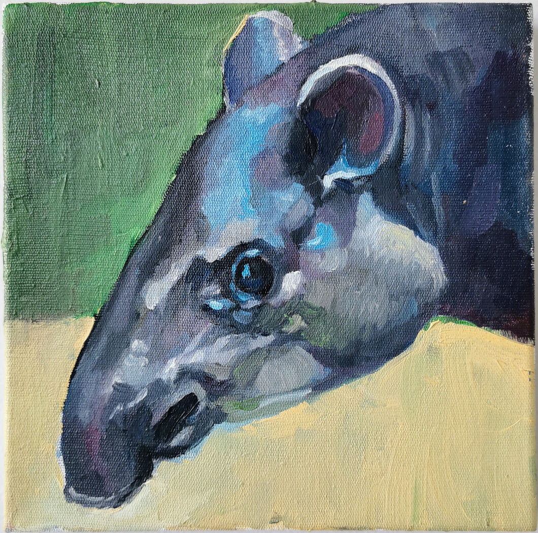 RICARDO ALVAREZ - TAPIR