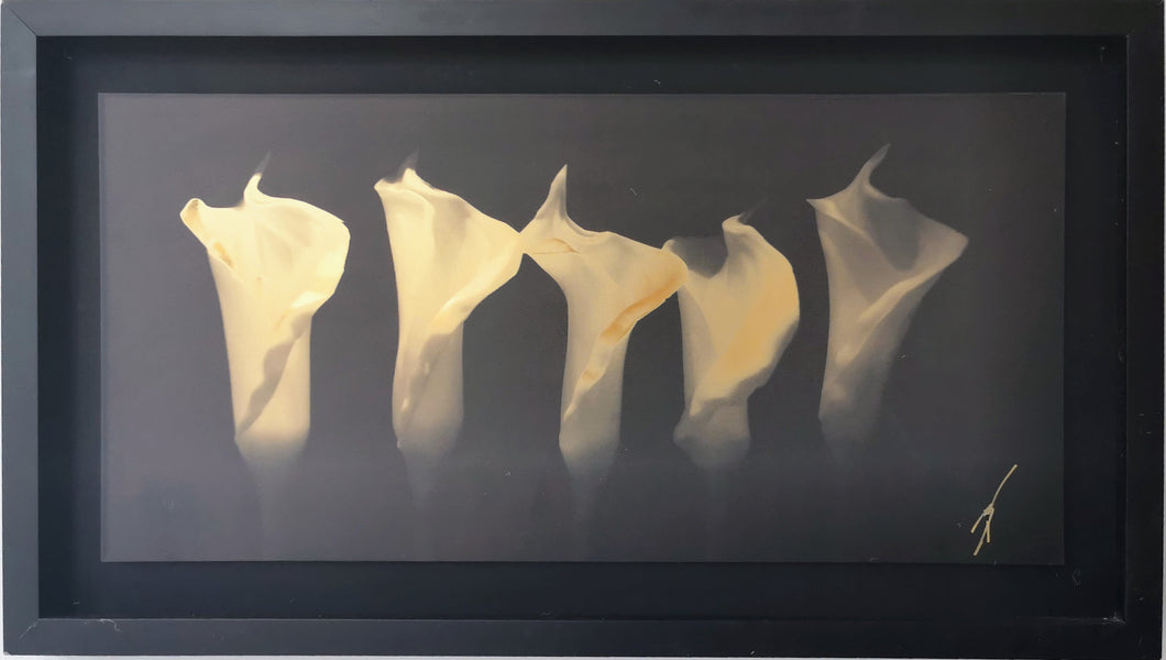 VICTOR BECKELMANN - SERIE CELOSÍAS