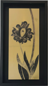 VICTOR BECKELMANN - SERIE CELOSIA