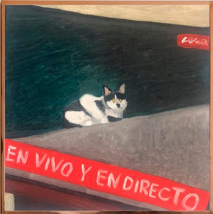 VICTORIA BEDOYA - Todos por Manchita