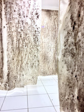 Load image into Gallery viewer, MARCOS BENITEZ - AO &quot;Proyecto herbolario&quot;
