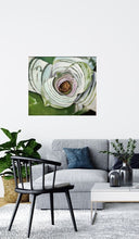 Load image into Gallery viewer, SILVANA NUOVO - Bromelia
