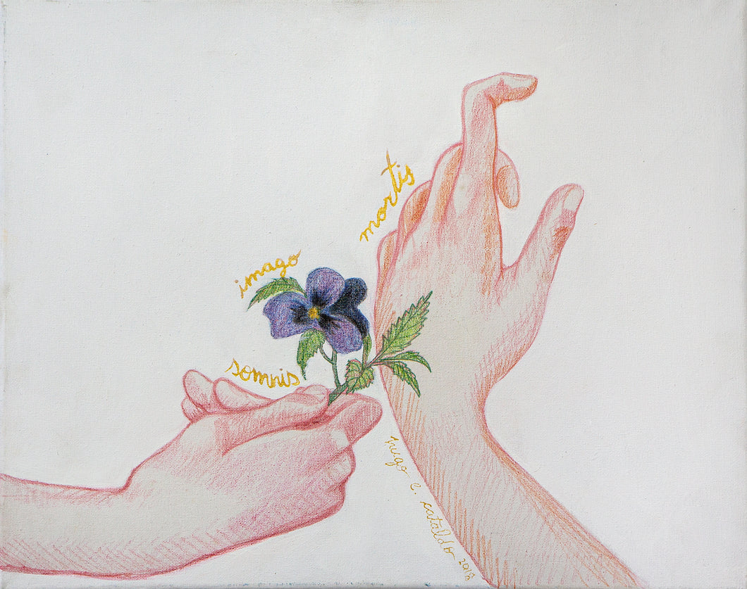 HUGO CATALDO - Somnis Imagi Mortis