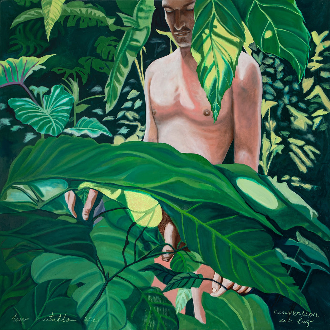 HUGO CATALDO - Conversion de la Luz